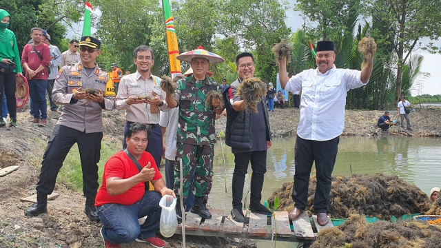 Peringati Hari Mangrove Sedunia Pt Pertamina Hulu Sanga Sanga Lakukan